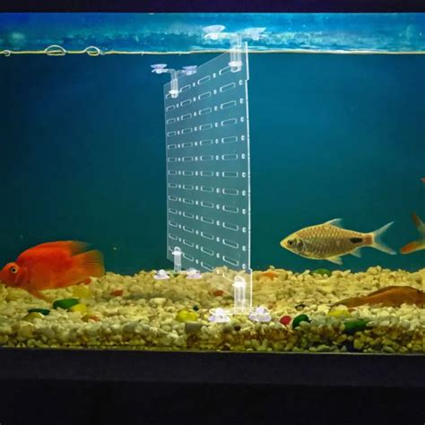 Sets Panneau D Isolation D Aquarium Planche De S Paration Diviseurs