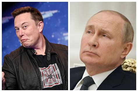 Elon Musk Challenges Vladimir Putin To A Fight If He S So Afraid I Ll