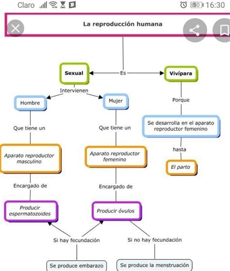 Mapas Conceptuales De Ciencias Sociales Familia Y Cole Mapa Hot Sex