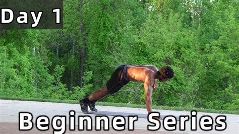 Day 1 Beginner Home Workout 20 Min Full Body Workout No Equipment