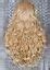 Long Human Hair Blend Full Wig Heat Ok Curly Blonde Mix Nwt Wbt