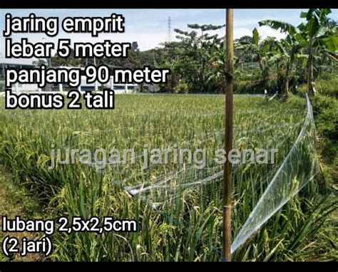 Jaring Burung Jaring Padi Jaring Emprit Lebar Panjang Meter