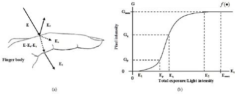 Figure From A Finger Vein Image Based Personal Identification System