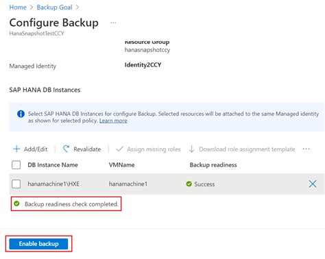 Sauvegarder Des Instances De Bases De Donn Es Sap Hana Sur Des Machines