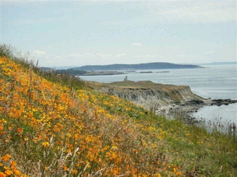 Cattle Point Lighthouse San Juan Island San Juan Island Natural