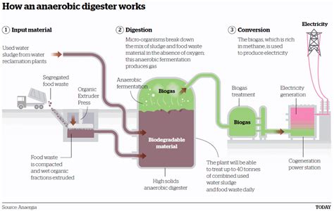 Wildsingapore News New Facility To Turn Food Waste Used Water Sludge