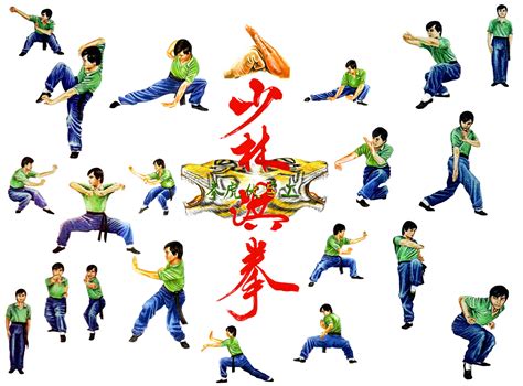 Tiger Kung Fu Martial Arts image - Free stock photo - Public Domain