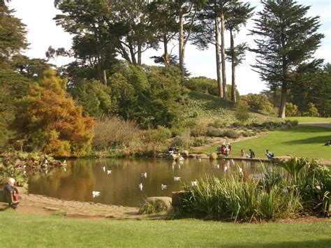 Golden Gate Park Botanical Garden | Fasci Garden