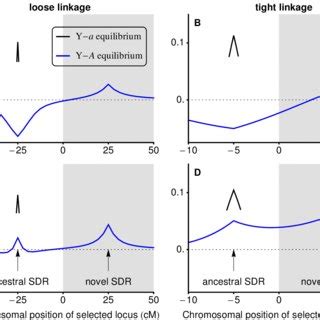 Fig S With Overdominance Loci Near To The Ancestral Sex Determining