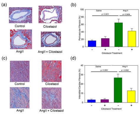 Ijms Free Full Text Cilostazol Attenuates Angii Induced Cardiac