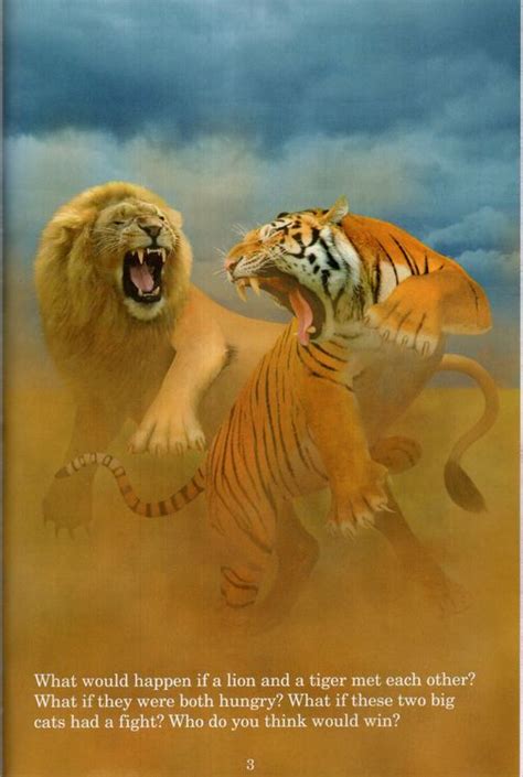 Lion Vs Tiger Fight