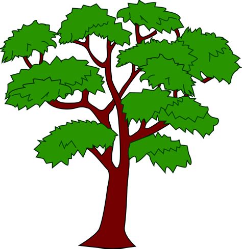 Big Tree Png Clipart