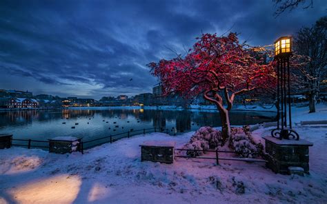 Wallpaper Norway, Rogaland, Stavanger, winter, snow, evening, lights ...