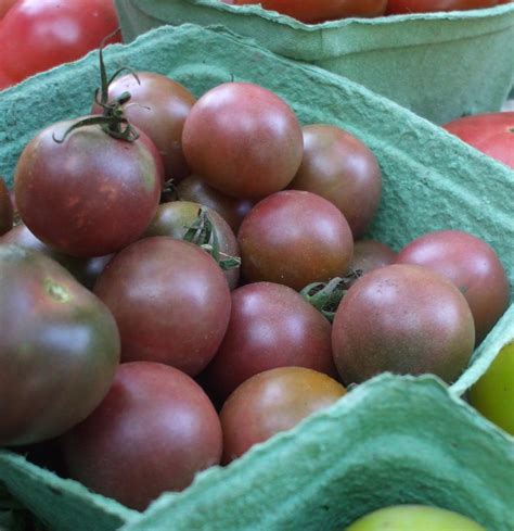 Black Cherry Heirloom Tomato - urbantomato