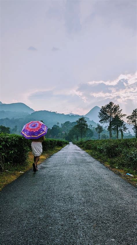 Wayanad Kerala Road Free Photo On Pixabay Pixabay