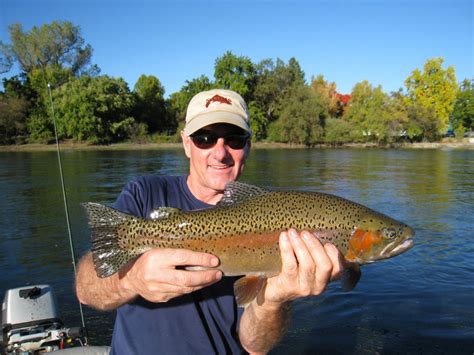 Trinity River Fishing The Complete Guide