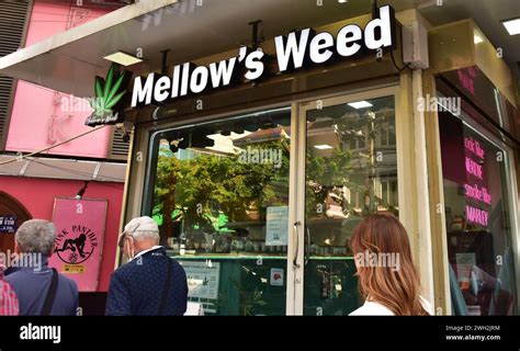 People Walk Pat Mellow S Weed Cannabis Shop On Surawong Road Bangkok