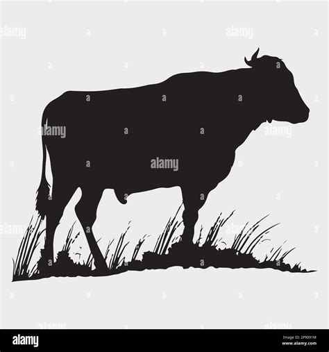 Cow Silhouette Vector Cow Icon Stock Vector Image & Art - Alamy