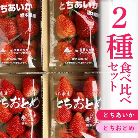 【楽天市場】【ふるさと納税】いちご 2種食べ比べセット（とちおとめ、とちあいか） 1kg以上 260g X 4パック 【先行予約 数量