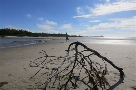 Fort Myers Bunche Beach: Heaven for kayakers, birders