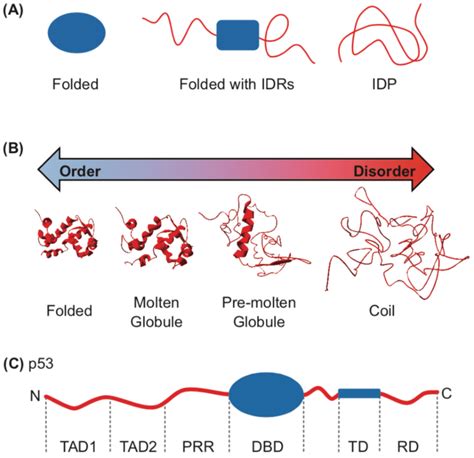 The Continuum Of Intrinsic Disorder A Proteins Can Be Described