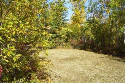 Campsite Details A Miquelon Lake Provincial Park Ab Alberta Parks