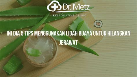 Ini Dia 5 Tips Menggunakan Lidah Buaya Untuk Hilangkan Jerawat