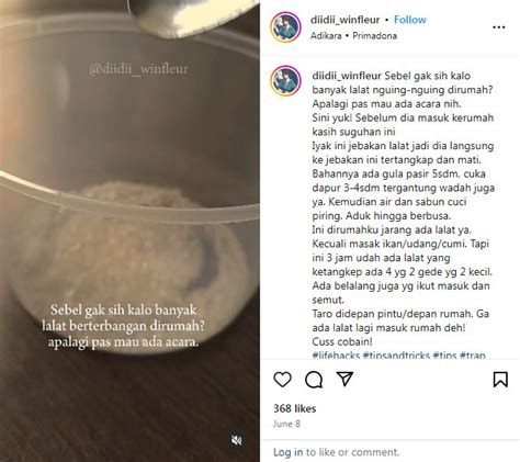 Tanpa Menyemprot Obat Serangga Ini Cara Praktis Mengusir Lalat Di