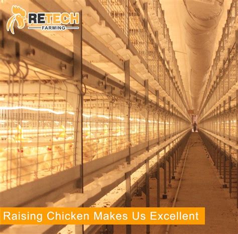 Factory Direct Design Automatic Broiler Battery Chicken Cage System