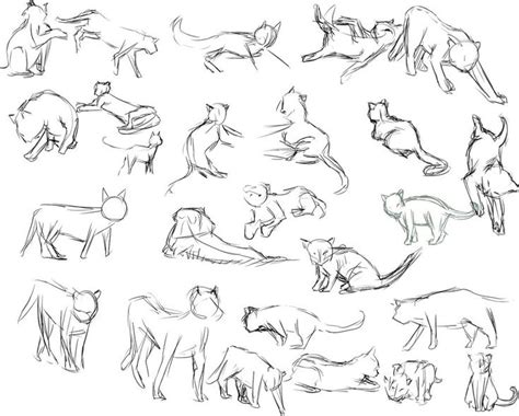 Gallery For Cat Poses Drawing Simple Cat Drawing Cat Drawing Cat Pose