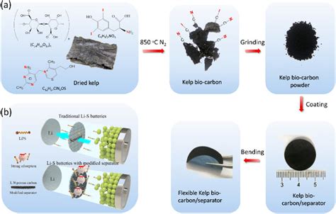 A Schematic Of Synthesis Process Of The I And N Co Doped Porous Kelp Download Scientific