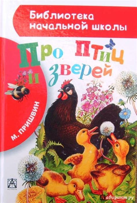 Сказки про птиц: лучшая подборка произведений для детей