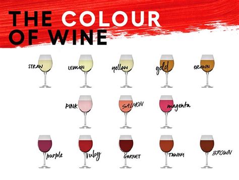 Australian Wine 5 Steps To Tasting Wine Like A Pro