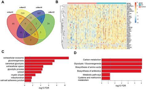 Identification And Enrichment Analysis Of Differentially Expressed