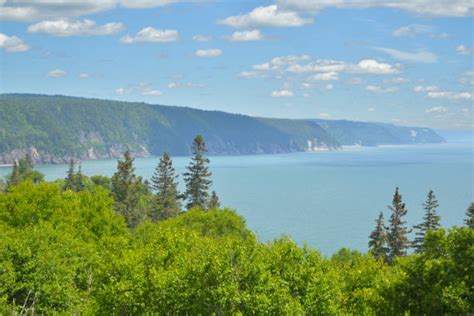 Fundy Trail Stock Photos Pictures And Royalty Free Images Istock