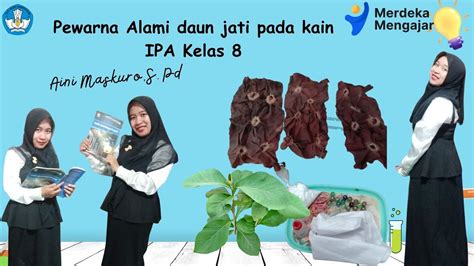 Pewarna Alami Daun Jati Muda Pada Kain Youtube