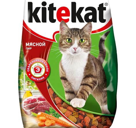 Корм для кошек "Китикет" сухой и влажный в пакетиках: состав, плюсы и ...