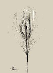 Erotic Illustration By Denis For Weinfan Zb Porn