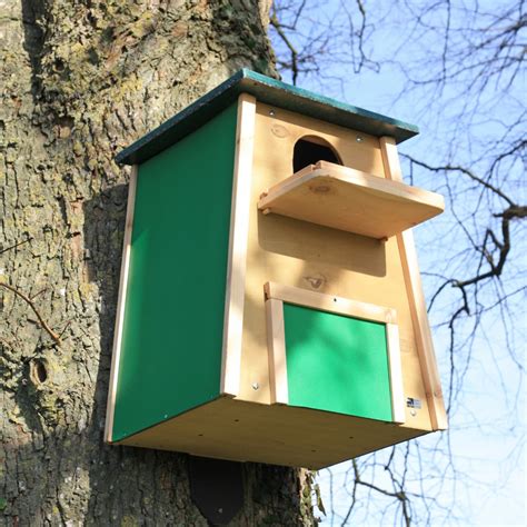 Barn Owl Nest Box Owl Nest Box Owl Nesting Nesting Boxes