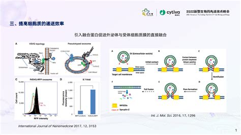 写意报告丨外泌体——核酸药物递送的新载体细胞功能生物