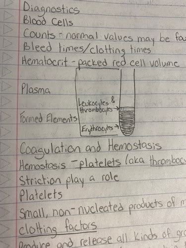 Pathology part 9 Flashcards | Quizlet