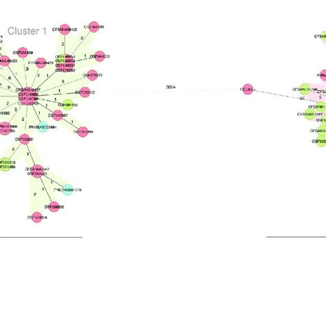 Minimum Spanning Tree Of The Wgmlst Allelic Profiles For Salmonella