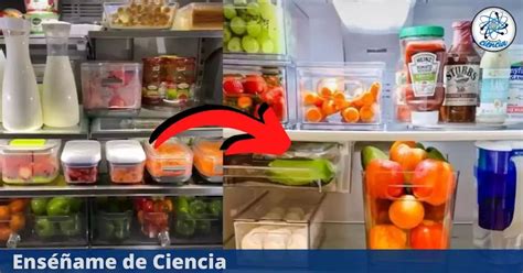 La Forma Correcta De Organizar Los Alimentos En La Nevera Para Que No