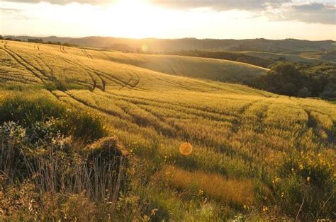 Nowy ekoschemat nowe płatności w PS WPR