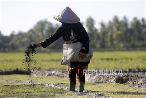 Pupuk Indonesia Petani Masih Boros Gunakan Pupuk Republika Online