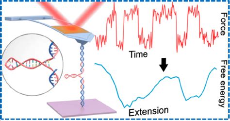 Folding: folding of an HIV RNA hairpin by atomic force microscopy ... 