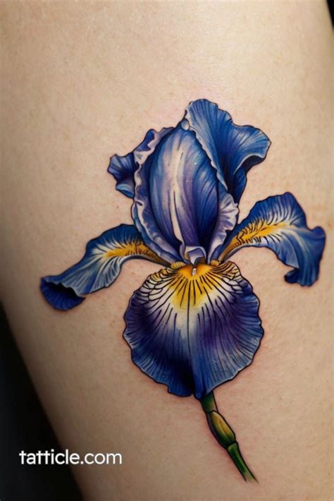 Iris Tattoo Meaning Discover The Hidden Symbolism And Popular Designs