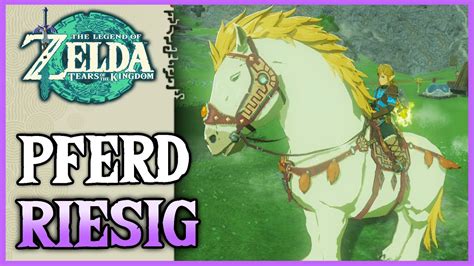 So bekommt ihr das riesige legendäre Pferd Zelda Tears of the