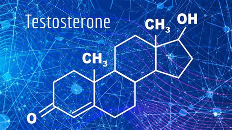 What is Testosterone? Effects of Testosterone on the male body