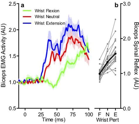 Biceps spinal reflex is tuned to hand displacement a, Mean rectified... | Download Scientific ...